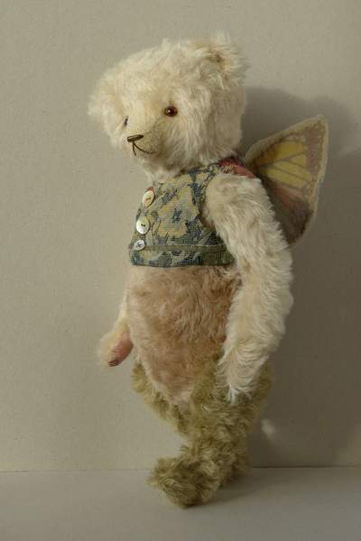 butterfly teddy