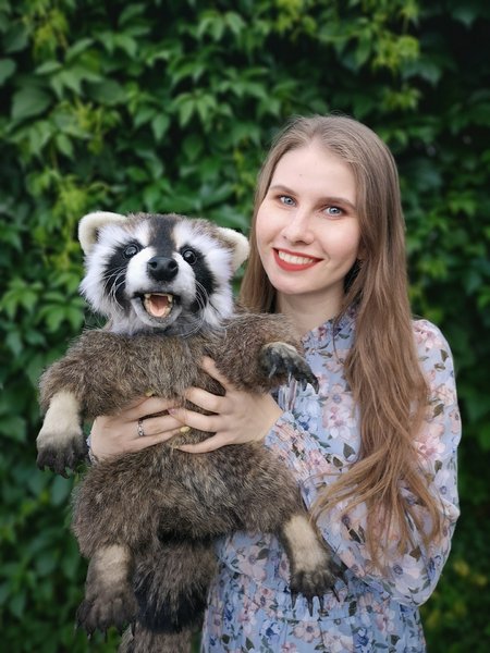 Stuffed store raccoon real