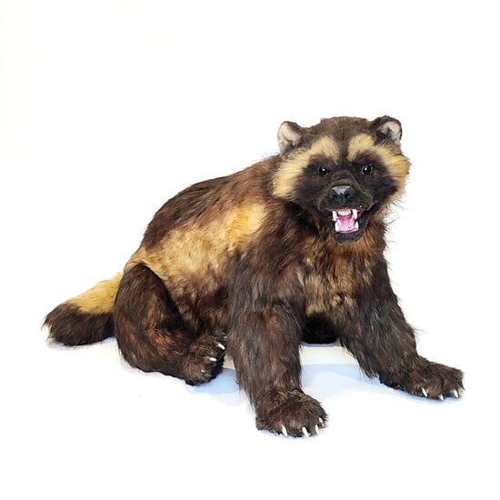 Stuffed wolverine best sale