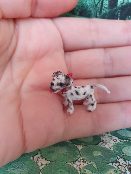 Mini clearance dalmatian puppies