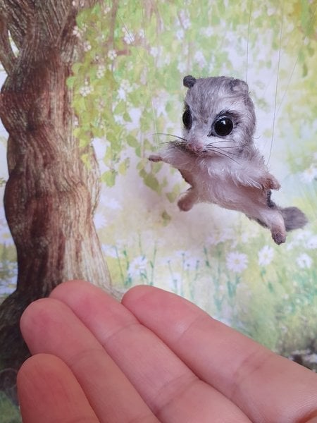 baby japanese dwarf flying squirrel