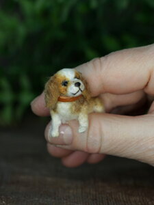 miniature dog Luna 1.57''