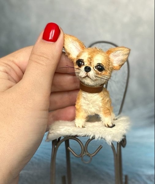 Ggp chihuahua best sale