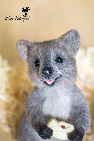 Quokka By Elena Fedoryak - Bear Pile