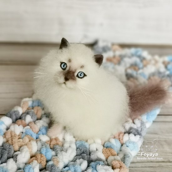 Cloud kitten sales