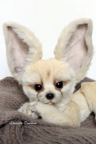 Fennec Fox Lucky By Ljudmila Donodina - Bear Pile