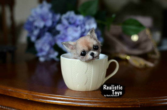 Chihuahua puppy Violet. by Maria Kalinina