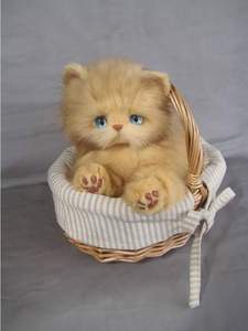 Light brown kitten - Natural fur